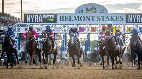 belmont stakes odds calculator|2024 Belmont Stakes News & Betting Analysis .